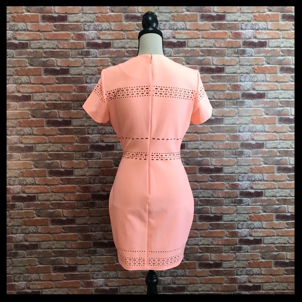 Elizabeth and James Ari Cutout Stretch Mini Dress - Picture 4 of 5